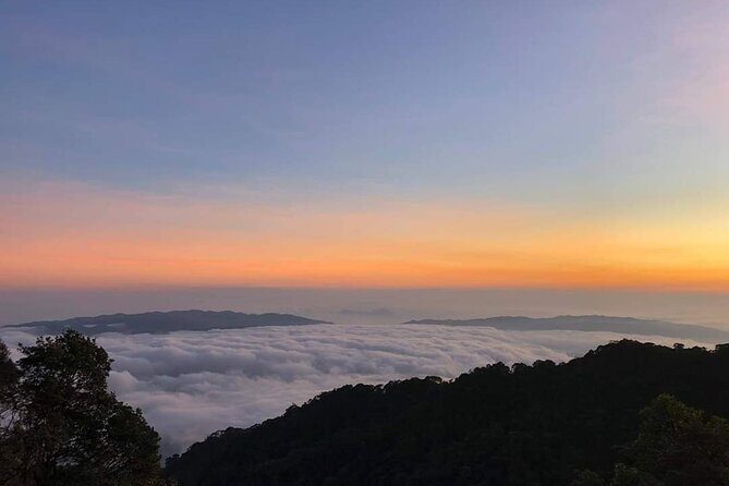 Hoi An/Da Nang guided tour to BANA HILLS with Cham Cham Travel - Eden Sky Garden and the upper-level stroll