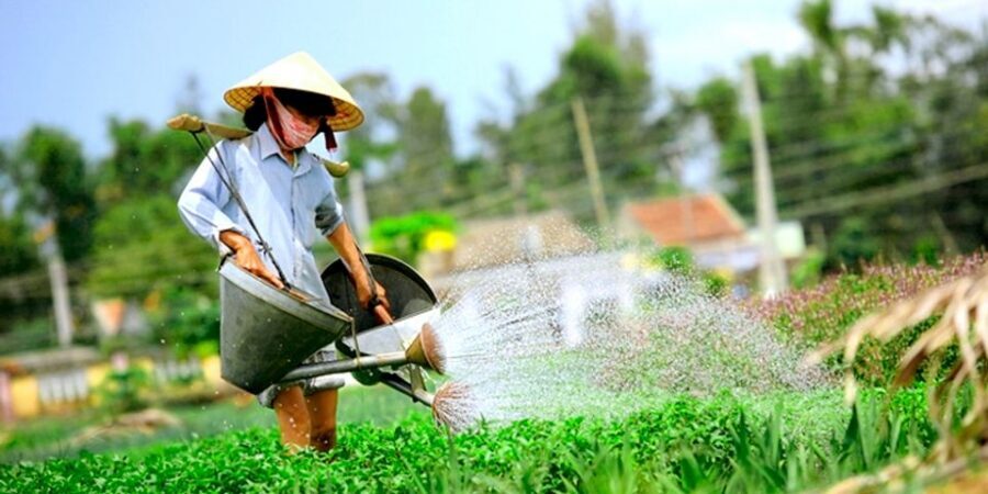 Hoi An: Evening Cooking Class with Locals in Herbs Village - Key things that make this cooking class worth your evening