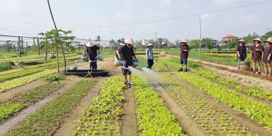 Hoi An: Evening Cooking Class with Locals in Herbs Village - The four dishes you’ll make (and why each one is a smart choice)
