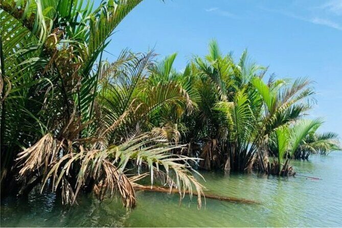 Hoi An Farming And Fishing Life - First stop, real rhythm: how the tour day starts in Hoi An