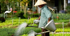 Hoi An Food Tour - Street Eats And Hoi An Hidden Gems - Your “guided walk” that still feels like exploring