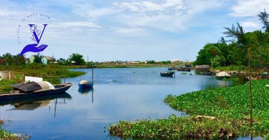 Hoi An Food Tour - Street Eats And Hoi An Hidden Gems - Learning through stories: Quin and Andy’s explanations