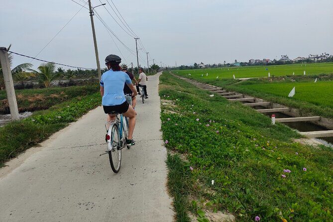 Hoi An Half-Day Bicycle Tour: Visit Herb Village, Row Basket Boat - Key highlights to know before you go