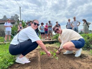 Hoi An: Half-Day Countryside Tour by Motorbike - Tra Que vegetable village: organic farms and real daily work