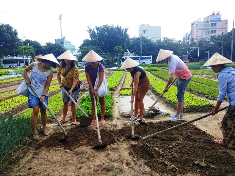 Hoi An: Jolie Cooking Class - Key highlights to expect