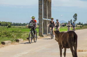 Hoi An: Morning Countryside Tour by Bike - The small-group max (8 people) that keeps things calm