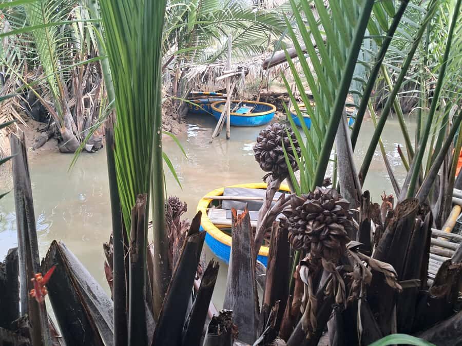 Hoi An: My Son Sanctuary with Basket Boat and Lunch Options - Price and Logistics: Is This Good Value After the Extras?