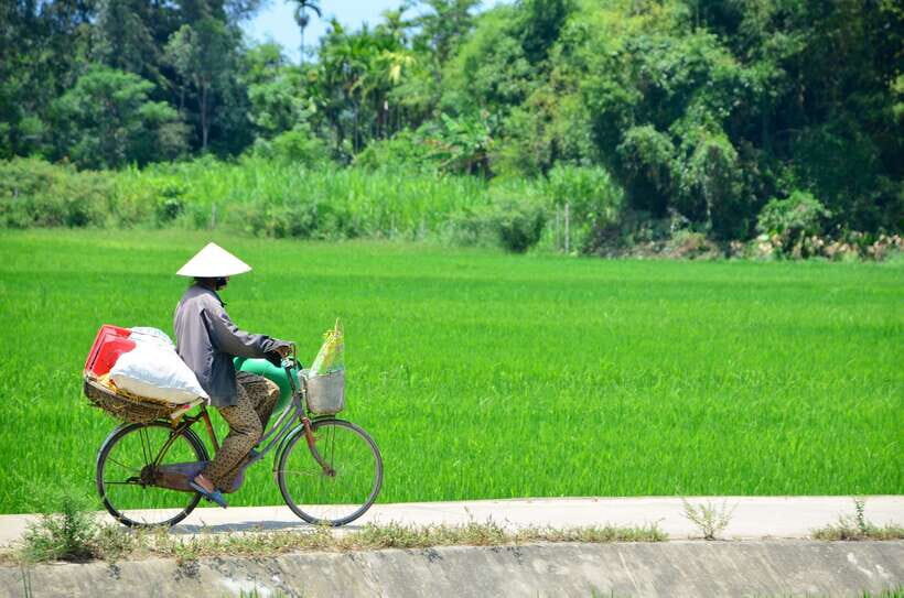 Hoi An: Private Cycling to My Son Sanctuary with Local Guide - Trading Hoi An Crowds for Quiet Bike Lanes