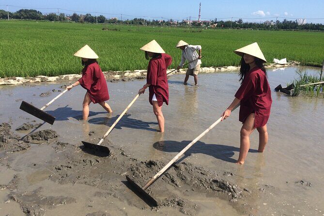 Hoi An Rice Farm Tour and Buffalo Riding with Local Home Meal - Key things you should know before you go