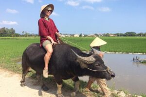 Hoi An Rice Farm Tour and Buffalo Riding with Local Home Meal - Meeting farmers, learning wet-rice basics, and drinking tea in the paddies