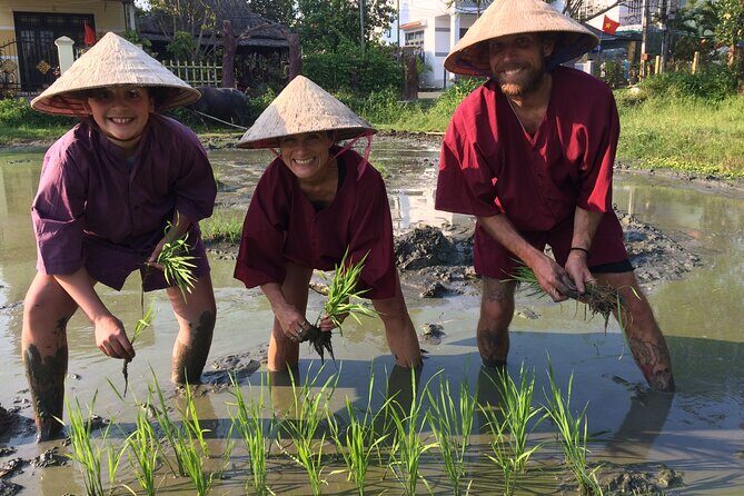 Hoi An Rice Farm Tour and Buffalo Riding with Local Home Meal - Who this tour is best for (and who should think twice)