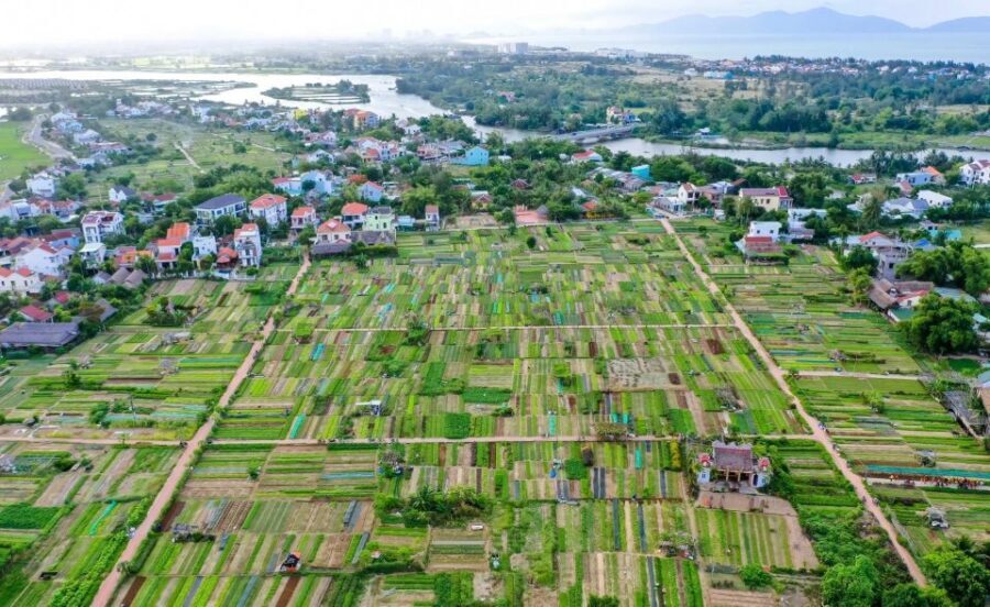 Hoi An: Rural Cycling Tour to Village with Basket Boat Ride - The Local Market Stop: Seeing Daily Hoi An Life Up Close