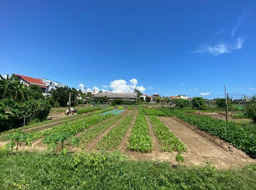 Hoi An: Rural Cycling Tour to Village with Basket Boat Ride - From 77 Tran Phu to Rice Paddies: Getting Out of the Crowds Fast