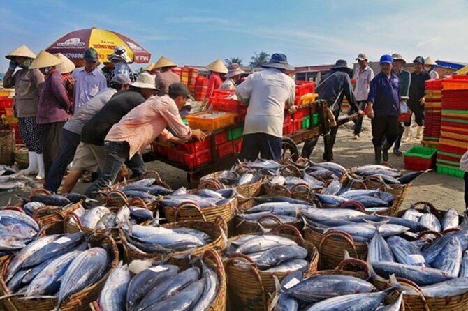 Hoi An Sunrise Fish Market Tour - Price and what $65.50 actually gets you
