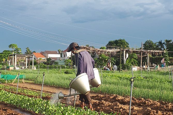 Hoi An sunrise, fish market tour and taking photos( Private tour) - Coffee and Local Food at Mate Restaurant and Coffee Hoi An