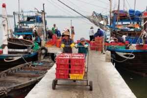 Hoi An Sunrise Private Half Day Tour - Duy Hai and Duy Vinh: Watching Fishermen Work at First Light