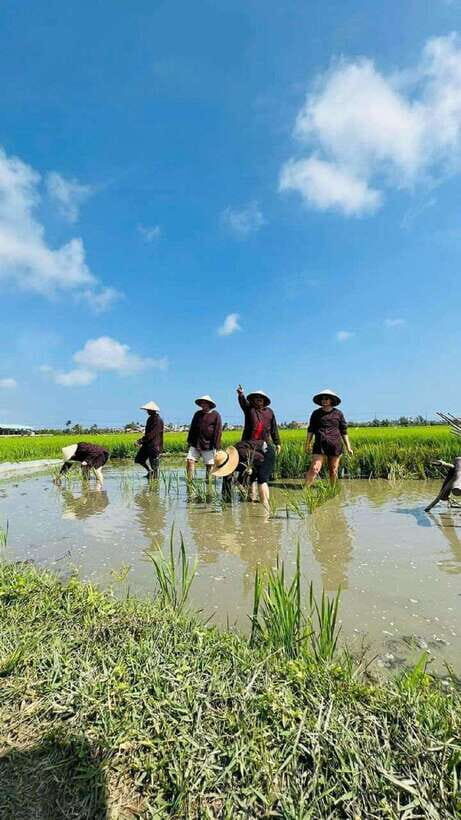 Hoi An Wet Rice Farming Tour-Basket Boat Tour Fishing-Lunch - Wet Rice Farming in Cam Thanh: More Than a Photo Stop