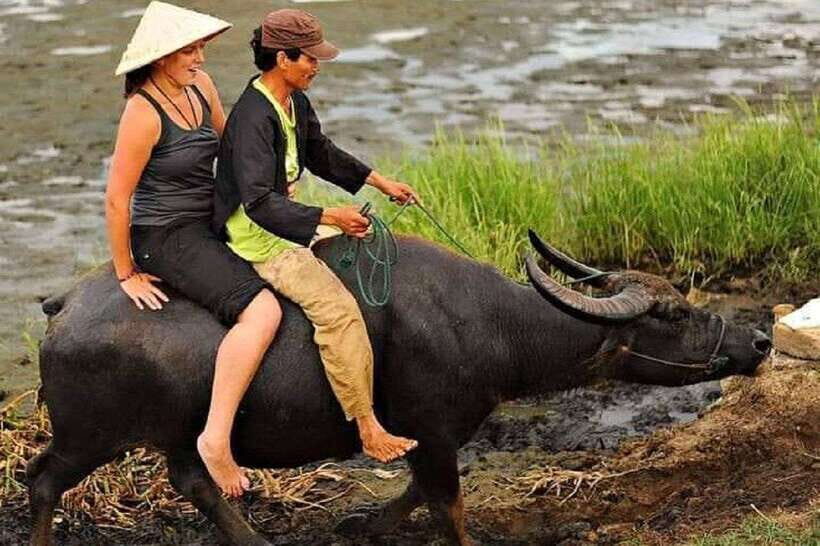 Hoi An Wet Rice Farming Tour-Basket Boat Tour Fishing-Lunch - Buffalo Riding: Fun, But Keep It Grounded