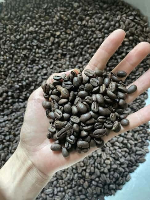 Hoi An:Coffee Making Class (Coffee: egg, Salt, Coconut, ...) - Key Things You’ll Really Do Here