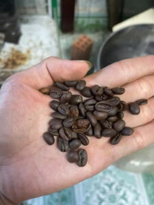 Hoi An:Coffee Making Class (Coffee: egg, Salt, Coconut, ...) - Inside a Local Roastery: Coffee Making Starts Before the Cup