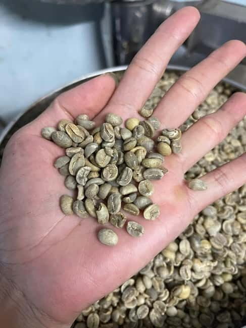 Hoi An:Coffee Making Class (Coffee: egg, Salt, Coconut, ...) - Pick Your Coffee: Phin Filter, Egg, Salt, or Coconut