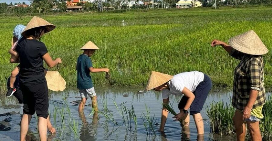 Hoi An:Cycling,Traditional Farming & Fishing Life Experience - From Hoi An to Cam Thanh: cycling into the water-palm world