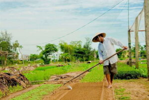 Hoian/Da Nang: Fishing, basket riding and cooking class - Entering Hoi An’s Market: Choosing Lunch Like a Local Shopper