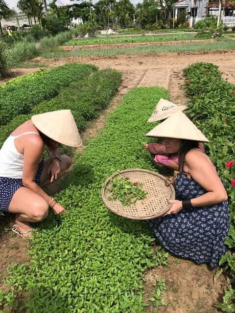 Hoian/Da Nang: Fishing, basket riding and cooking class - Lunch Experience: Small Table Energy and River-Side Calm