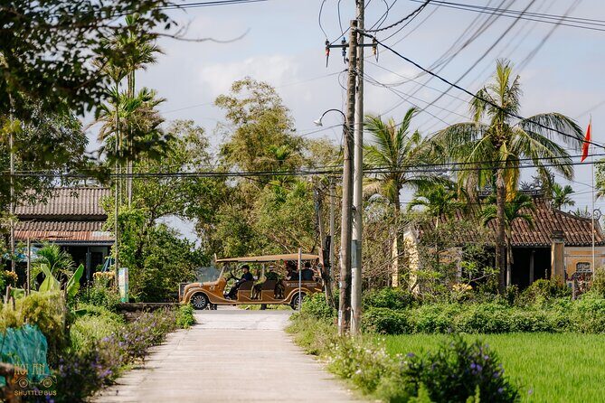 HoiAnGO Experience Local Life: Countryside by Electric Car - Bay Mau Coconut Forest: Coconuts, Nipa Palms, and Mangrove Notes