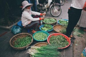 Morning Cooking Class in Thuan Tinh Island depart from Hoi An Old Town - Through coconut water trees: the row-boat moment you won’t forget