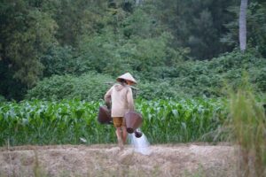 Mountain Bike Riding from Hoi An - Getting Set Up at Heaven and Earth: Bikes, Helmets, and a Real Start Point
