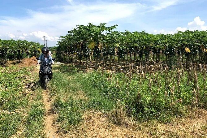 My Son Adventures Loop (1 ngày -150km) - Price and value: what $125 covers and why it can be worth it