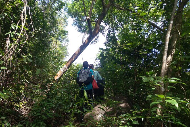 My Son sanctuary and mountain trekking - Lunch, barbecue by the stream, and the pace you’ll actually feel