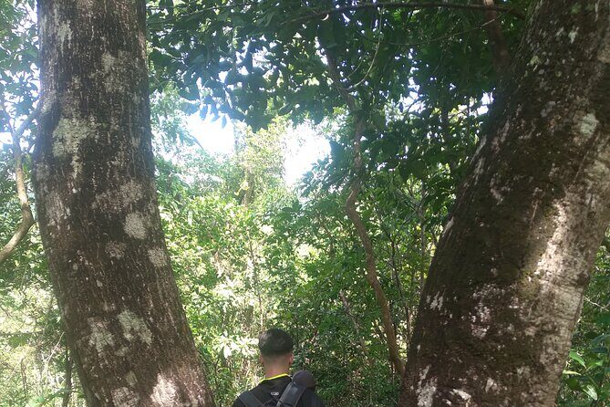 My Son sanctuary and mountain trekking - Price and value: what $59 really buys (and what to budget)