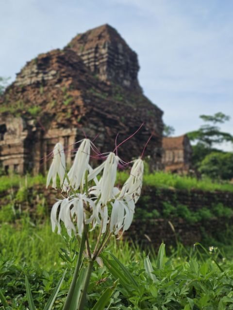 My Son Sanctuary Morning/Afternoon with Boat Trip and Banhmi - Hoi An to My Son: easy pickup, sensible pacing
