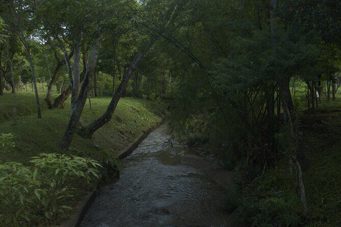 My Son Sanctuary Private Tour - Early Morning or Half Day Tour - Who This Private My Son Tour Suits Best