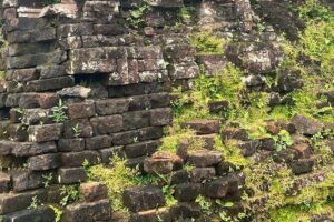 My Son Sanctuary Small-Group Trip From Hoi An - Entrance fee math: what you pay and what you don’t