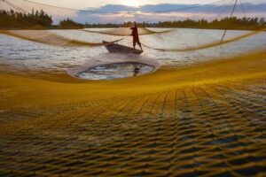 Photography Tour Hoi An Fishing Nets - Timing and logistics: 2:00 pm, short trip, small group energy