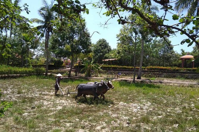 Private Day Trip To Visit MY LAI MASSACRE from Hoi an or Da Nang City - Why the My Lai Massacre Memorial day trip is a different kind of tour