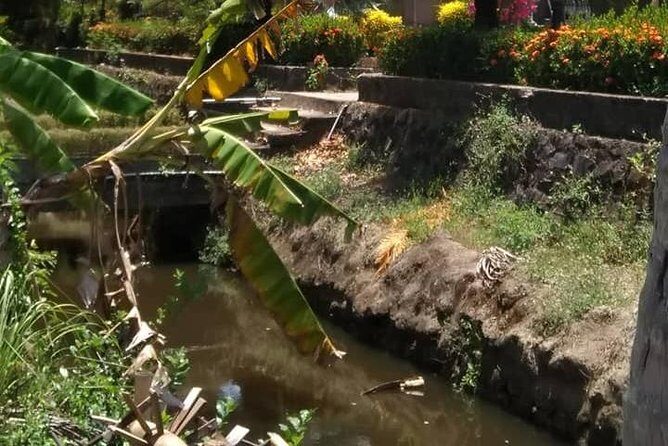 Private Day Trip To Visit MY LAI MASSACRE from Hoi an or Da Nang City - Stop 2: My Lai Massacre Museum (short stop, meaningful follow-through)