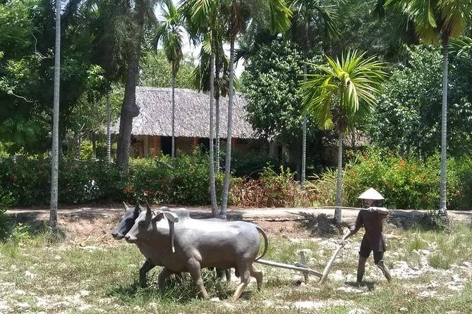 Private Day Trip To Visit MY LAI MASSACRE from Hoi an or Da Nang City - The private guide effect: why this tour is worth it beyond tickets