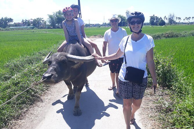 Private Hoi An Countryside: Biking, Basket boat, buffalo, foods - Tra Que vegetable plots and buffalo by the river