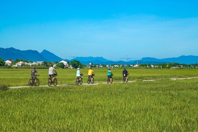 Private Hoi An to My Son Sanctuary Full-Day Bike Tour - Discova meeting point: bike fit and a real safety briefing