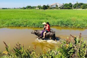 Riding Water Buffalo and Basket Boat Hoi An Private Bike Tour - Meeting Tom and Getting Bikes at the Starting Point