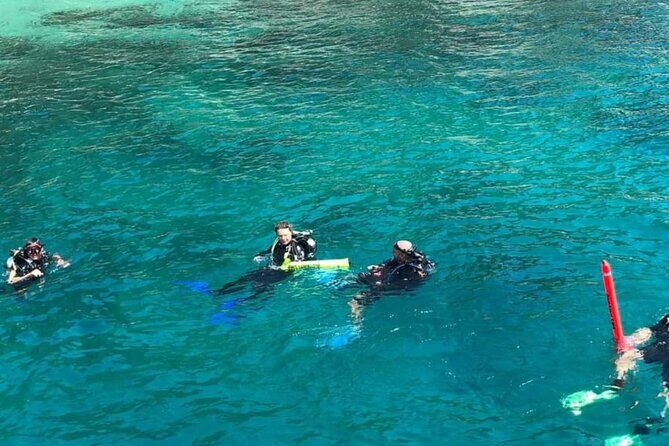 Scuba Diving Tour in Cham Island for certified divers or Beginners - Cham Islands Underwater Time: Where the Value Really Shows