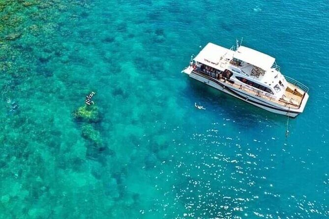Scuba Diving Tour in Cham Island for certified divers or Beginners - Who This Cham Islands Experience Fits Best