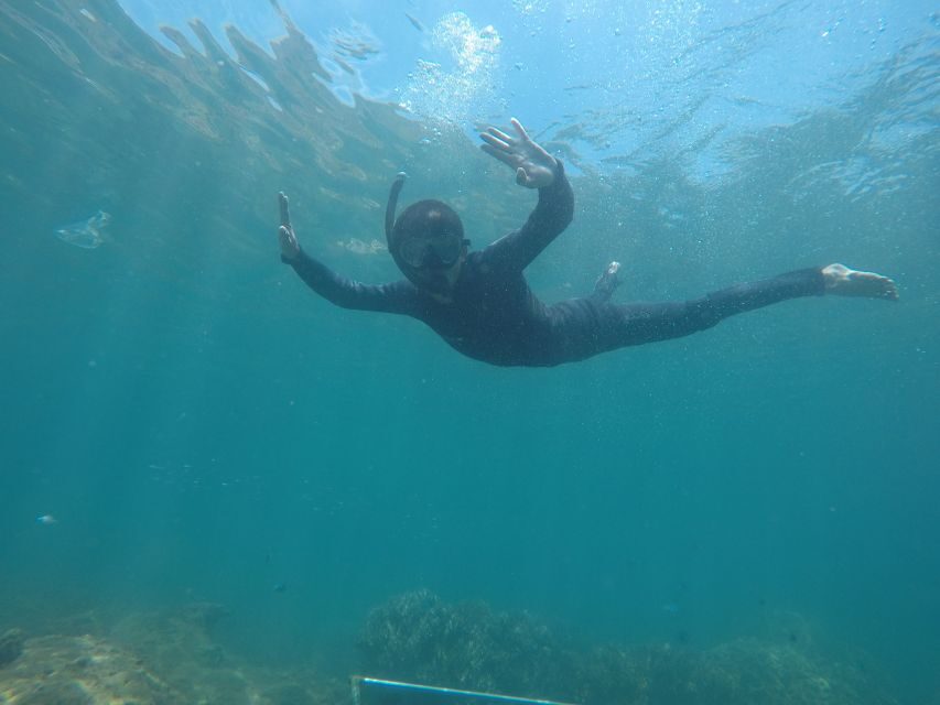 Snorkeling Cham Island: Snorkeling Tour by Speed Boat - Price and what you’re actually paying for: $53 in context