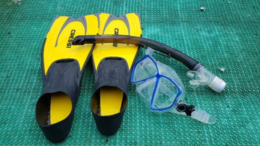 Snorkeling Cham Island: Snorkeling Tour by Speed Boat - Should you book this snorkeling tour?