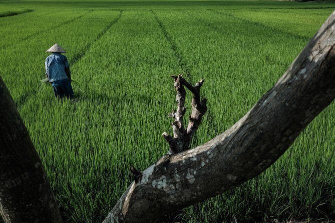 Sunset photo tour with the farmers - Who this tour fits best (and who might want to skip it)