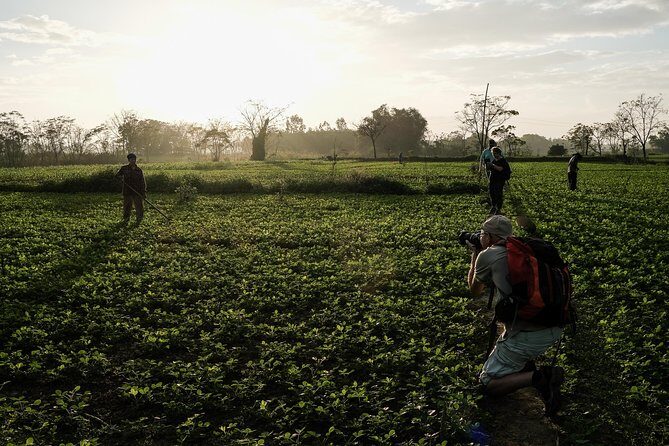 Sunset photo tour with the farmers - The guides: Etienne, Jean, Andy, and how they shape the day